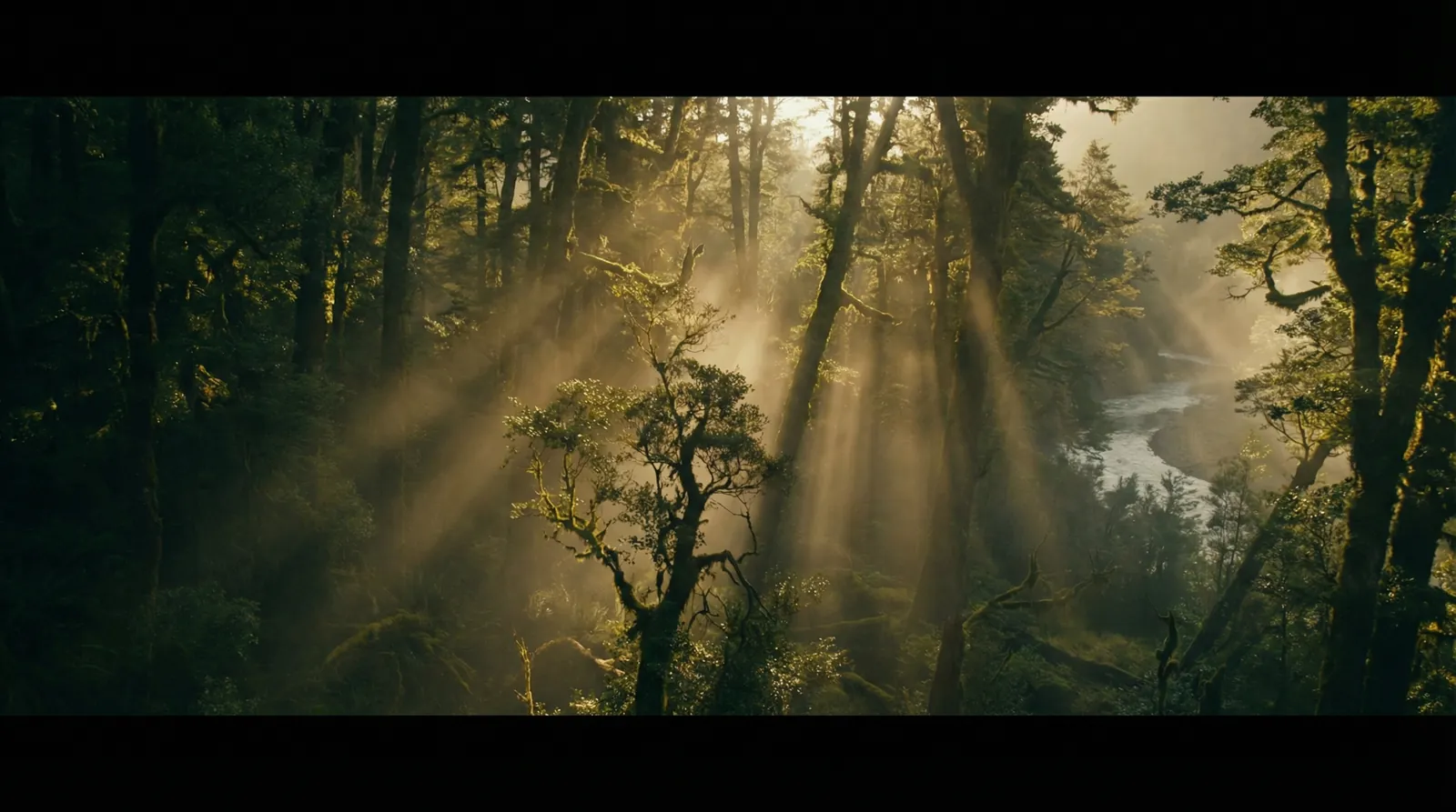黄瓜视频下载入口免费 自然纪录片风格调色案例
